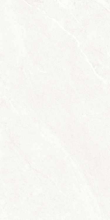 Dhara White Matte 24 x 48